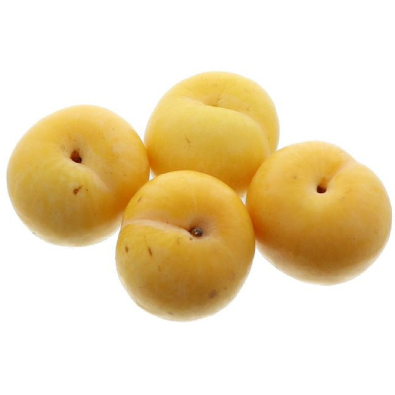 PRUNE JAUNE EARLINA 6KG